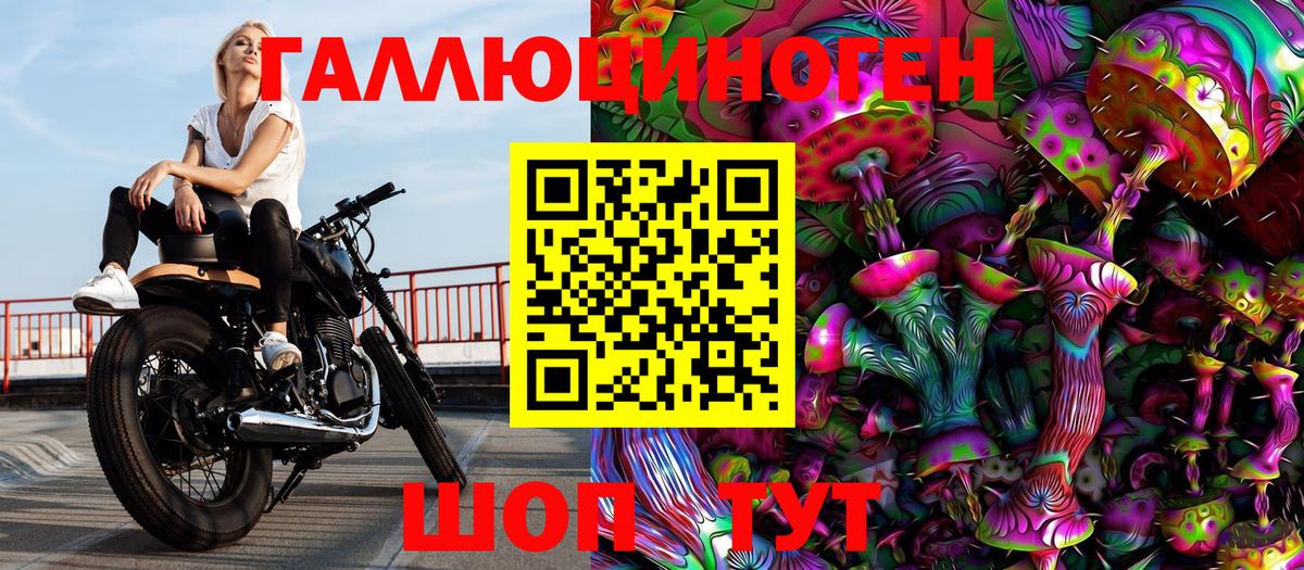 Елизово  Псилоцибиновые грибы MAGIC MUSHROOMS  Вход с VPN 